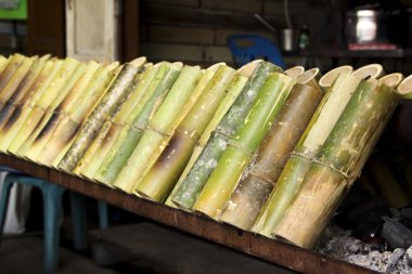 BAMBOO 'NUN İÇİN EŞİLDİ