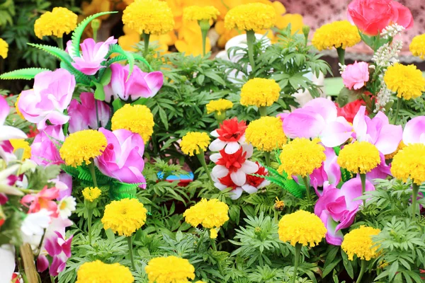 Kleurrijke bloem — Stockfoto