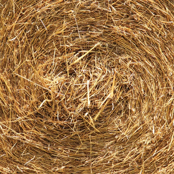 Bail of hay — Stock Photo, Image