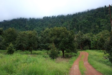 Bir görünümü kırsal manzara