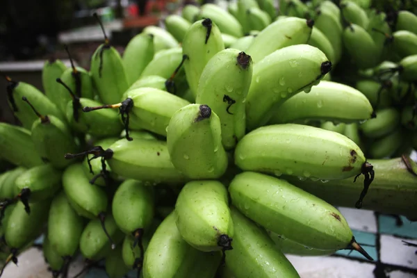 Grüne Banane — Stockfoto