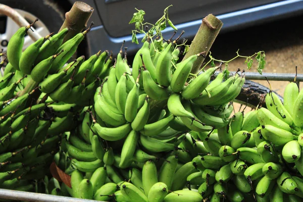 Grüne Banane — Stockfoto