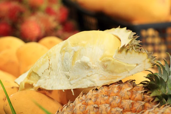 Durian — Stock fotografie