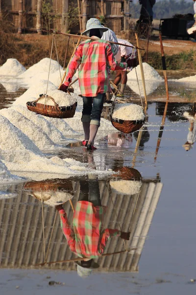 Travailler dans le champ de sel — Photo