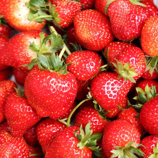 Set in a box of strawberries Stock Picture