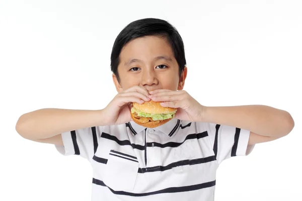 The boy eating a hamburger — Stock Photo, Image