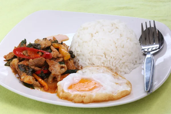 Chicken panang curry with rice anf fried egg — Stock Photo, Image