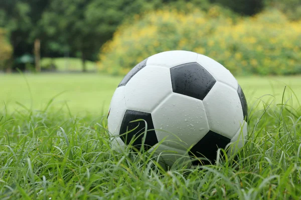 Lederen voetbal bal — Stockfoto