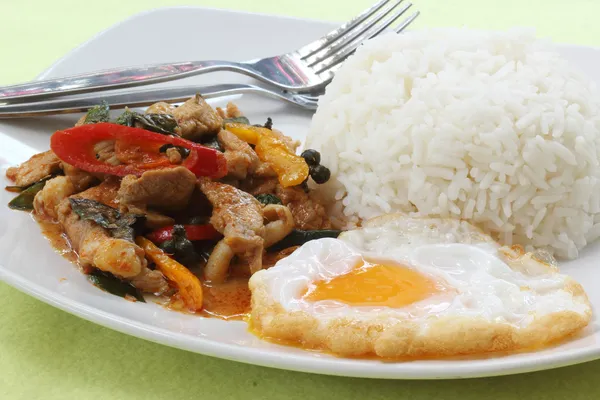 Frango panang caril com arroz — Fotografia de Stock