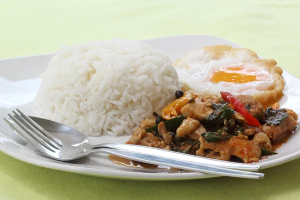 Pollo panang curry con arroz —  Fotos de Stock