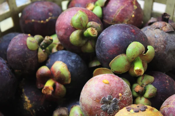 Group of Mangosteen — Stock Photo, Image