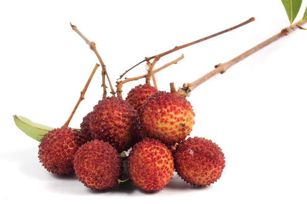 Gruppo di litchi — Foto Stock