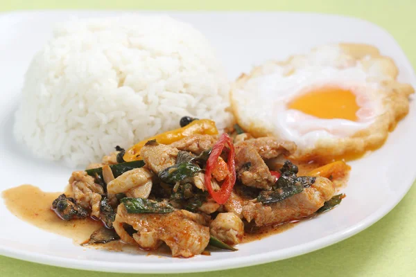 Chicken panang curry with rice and fried egg — Stock Photo, Image