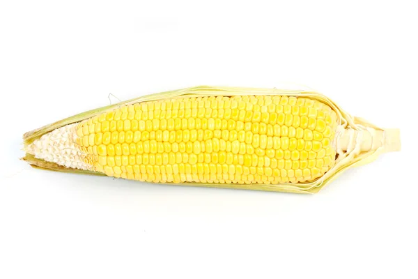 Corn — Stock Photo, Image