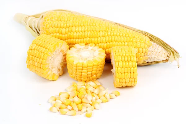 Fresh raw corn — Stock Photo, Image