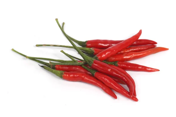Horké červené chilli papričky — Stock fotografie