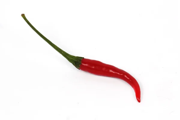 Hot red chili peppers — Stock Photo, Image