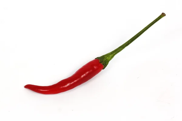 Hot red chili peppers — Stock Photo, Image