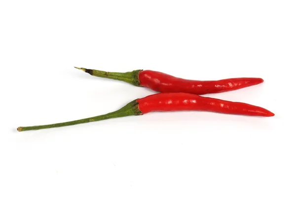 Hot red chili peppers — Stock Photo, Image