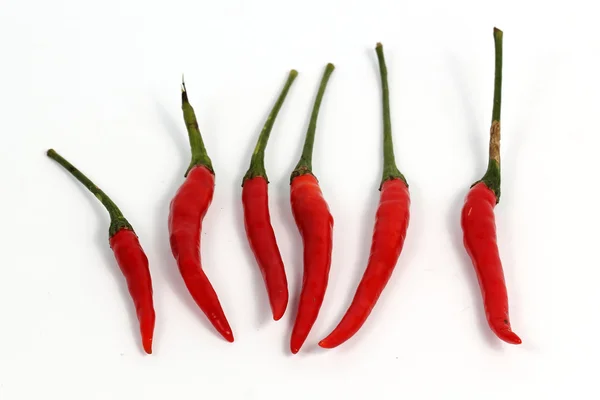 Gorąca czerwona papryka chili — Zdjęcie stockowe