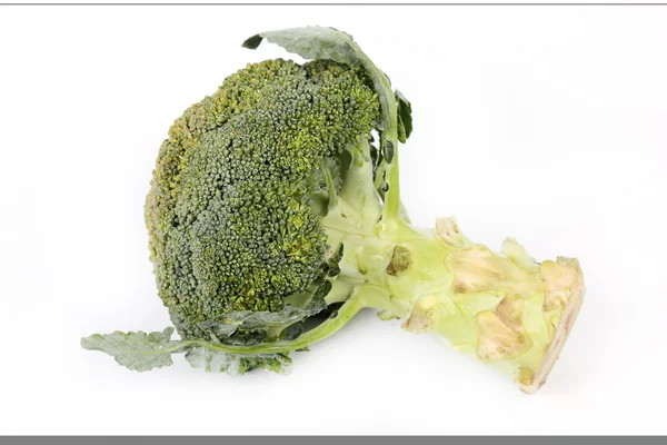 The Fresh broccoli — Stock Photo, Image