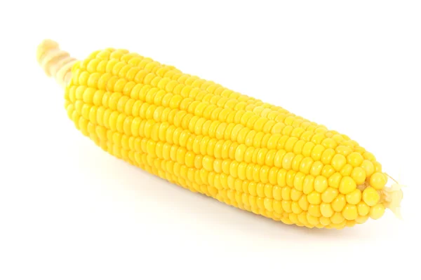 Fresh cook corn — Stock Photo, Image