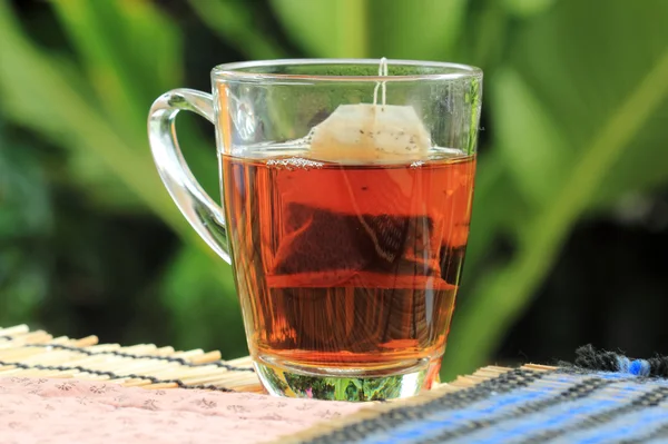 Bustine di tè sull'erba — Foto Stock