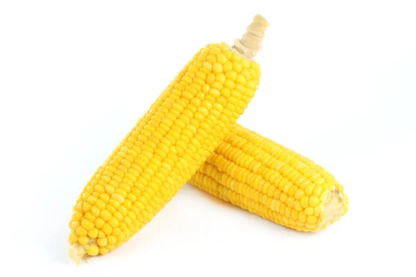 Fresh cook corn — Stock Photo, Image