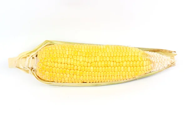 Verse rauwe maïs — Stockfoto