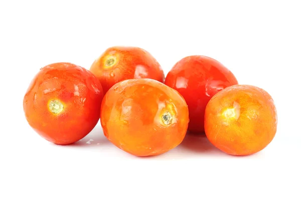 Červené rajče s kapkami — Stock fotografie