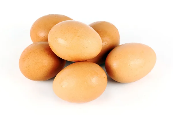 Seis huevos marrones — Foto de Stock
