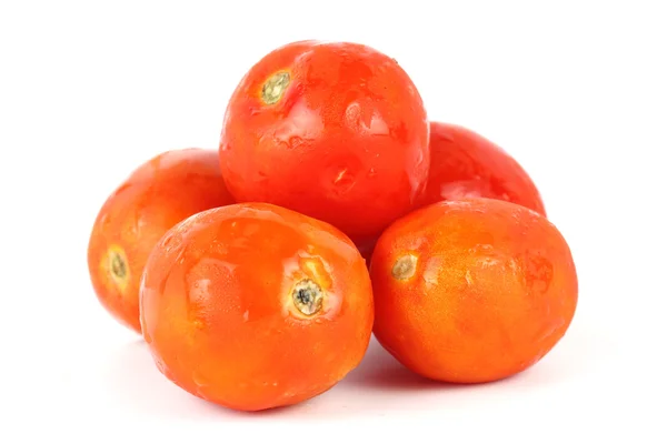 Červené rajče s kapkami — Stock fotografie