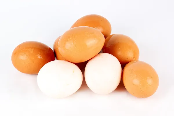 Huevos blancos y marrones — Foto de Stock