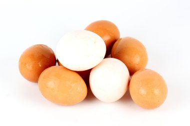 Beyaz ve kahverengi yumurta