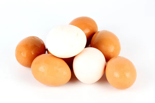 Huevos blancos y marrones — Foto de Stock