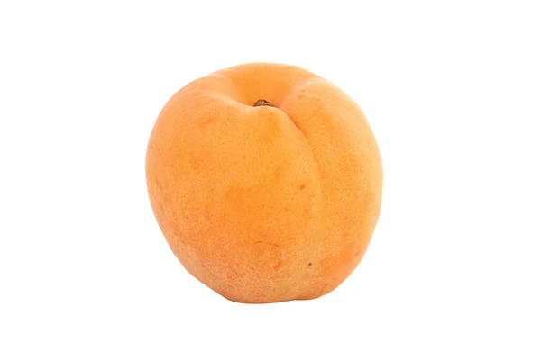Свежий абрикос — стоковое фото