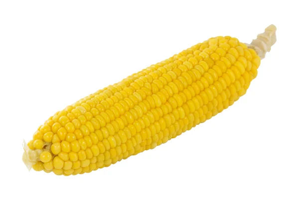 Świeże kucharz kukurydziany — Zdjęcie stockowe