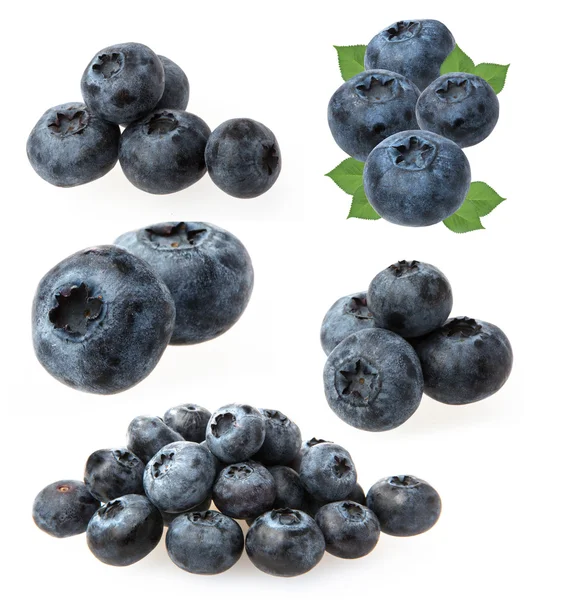 Blueberries on white — Stock Photo, Image