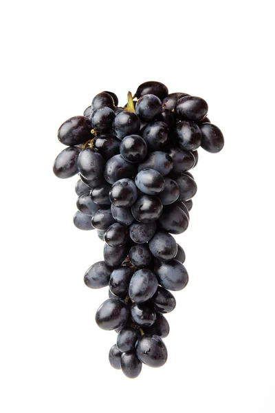 Raisins mûrs — Photo