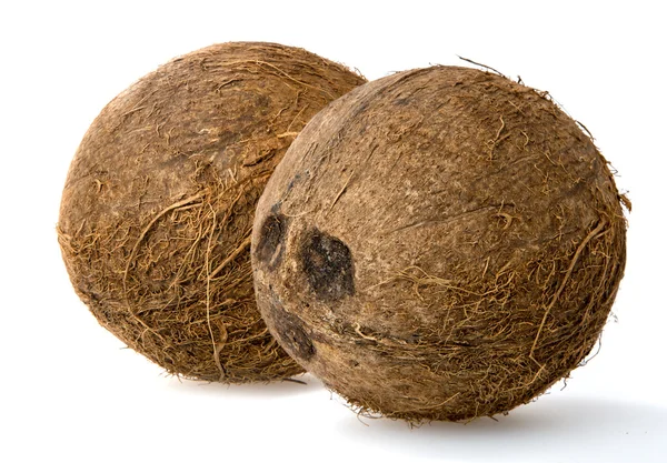 Kokosnuss — Stockfoto