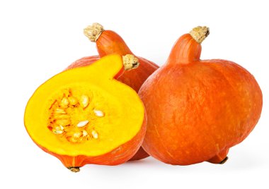 beyaz arkaplanda kabak