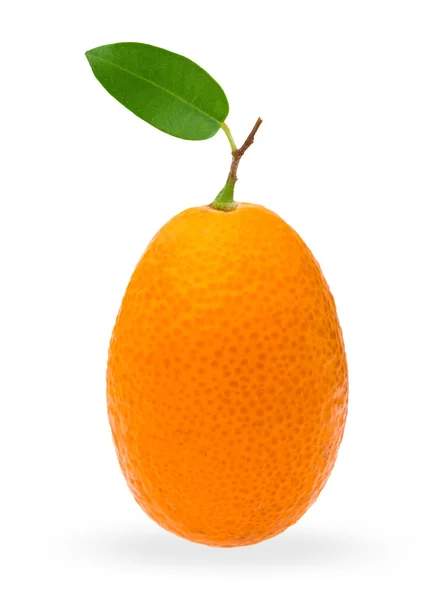 Kumquat citrusfrukter närbild på vit — Stockfoto