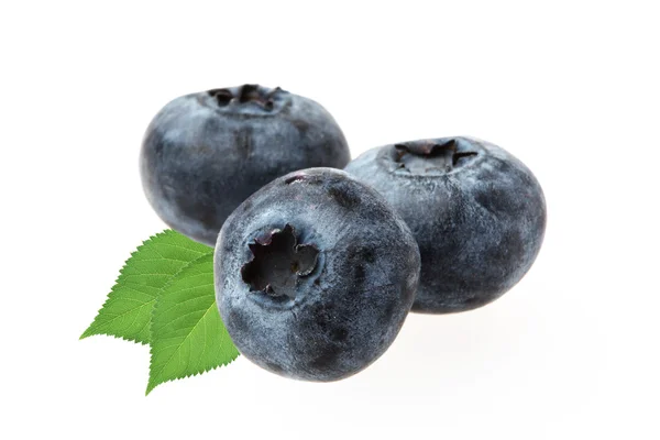 Blueberries on white — Stock Photo, Image