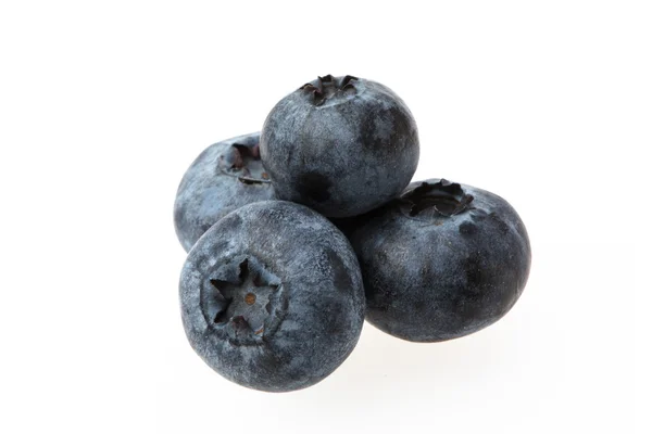 Blaubeeren auf Weiß — Stockfoto