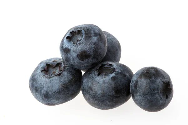 Blueberries on white — Stock Photo, Image