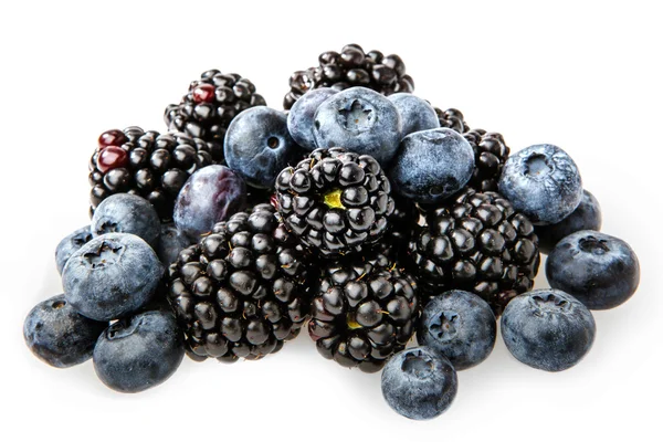 Blaubeeren auf Weiß — Stockfoto