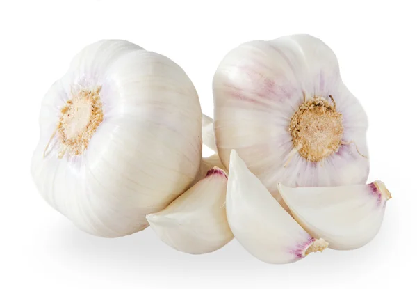 Conjunto de ajo aislado sobre fondo blanco — Foto de Stock