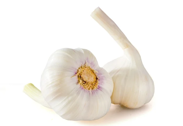 Conjunto de ajo aislado sobre fondo blanco — Foto de Stock