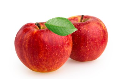 elma beyaz arkaplanda izole edildi