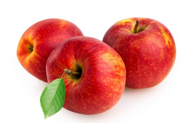 elma beyaz arkaplanda izole edildi